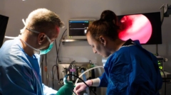 Medici veterinari efectuând o endoscopie digestivă, cu imaginea endoscopică afișată pe monitor, pentru extragerea unui corp străin