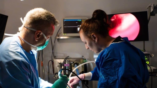 Medici veterinari efectuând o endoscopie digestivă, cu imaginea endoscopică afișată pe monitor, pentru extragerea unui corp străin